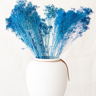 Fleurs séchées - Broom bleu