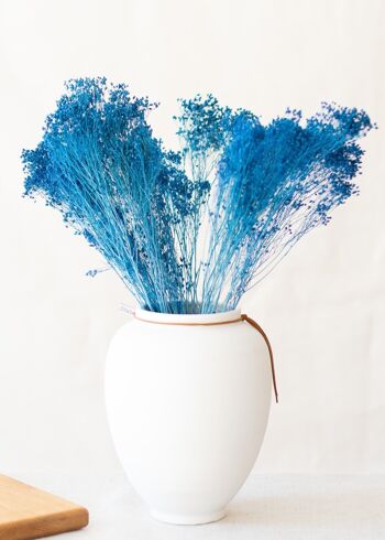 Fleurs séchées - Broom bleu 3