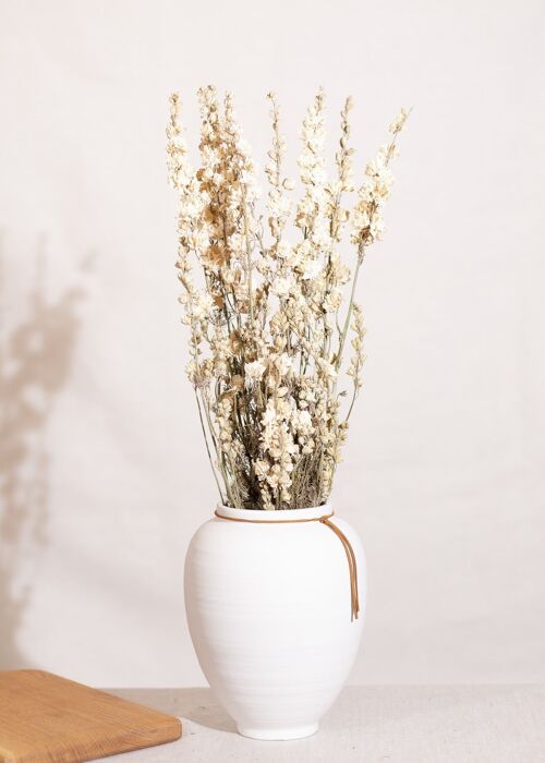 Fleurs séchées - Delphinium blanc