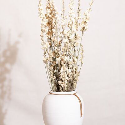 Dried flowers -White delphinium