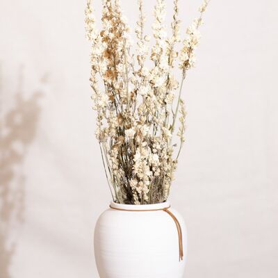 Fleurs séchées - Delphinium blanc