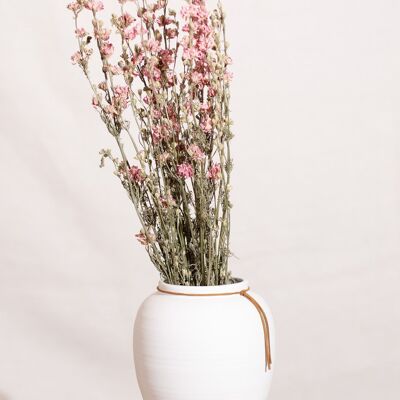 Dried flowers -Pink delphinium