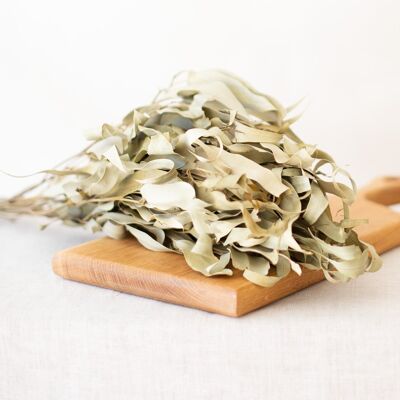 Dried flowers - Natural Eucalyptus