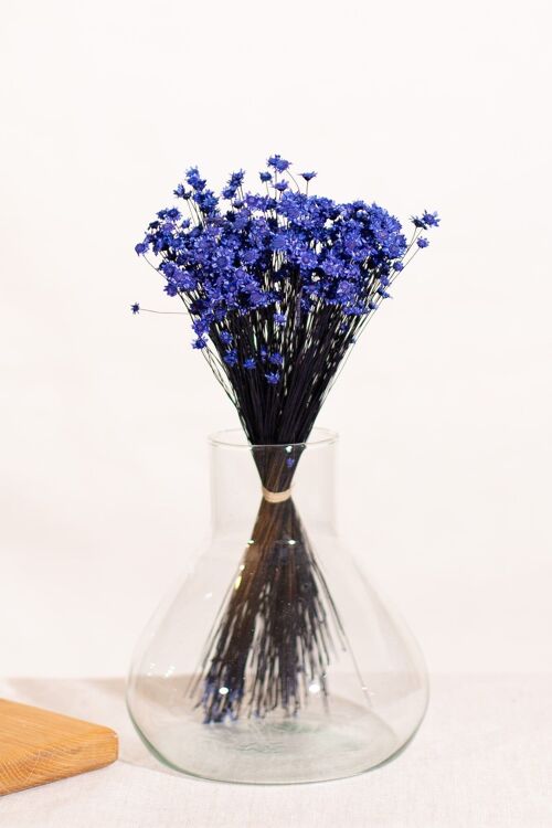 Fleurs séchées - Glixia bleu