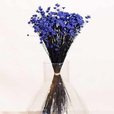 Dried flowers - Blue Glixia
