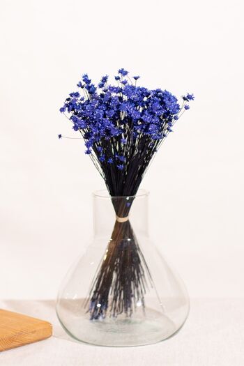 Fleurs séchées - Glixia bleu 1