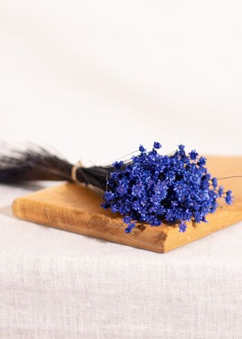 Fleurs séchées - Glixia bleu 2