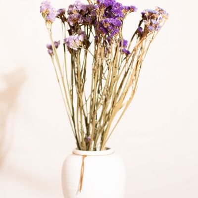 Flores secas -Púrpura Statice