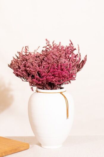 Fleurs séchées - Tatarica framboise 1