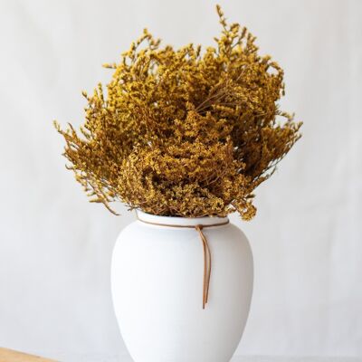 Dried flowers - Yellow Tatarica