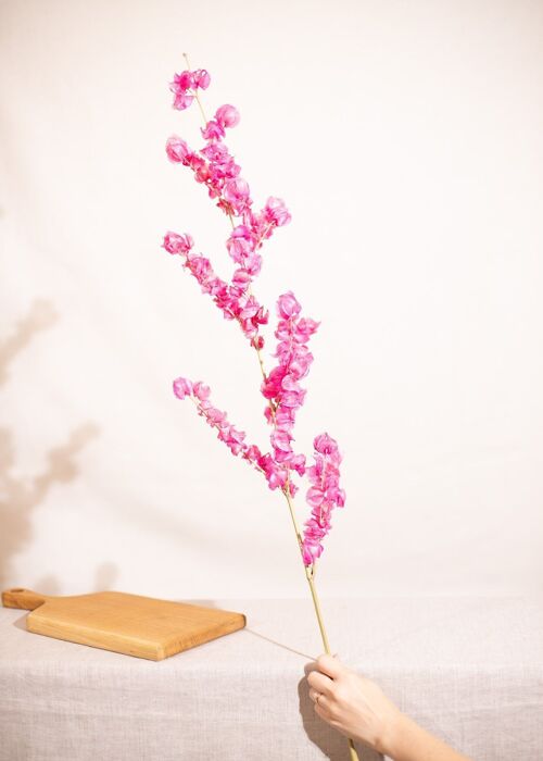Fleurs séchées - Branche Bougainvillier cerise X1