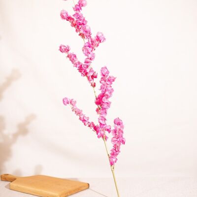 Fleurs séchées - Branche Bougainvillier cerise X1