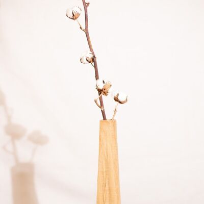 Dried flowers - Cotton Branch X1