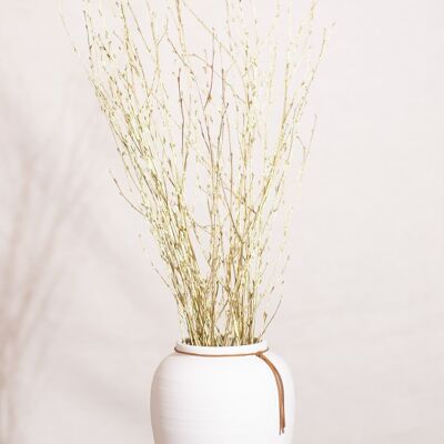 Dried flowers -Golden branches