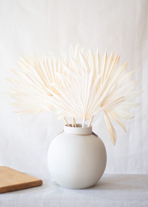 Fleurs séchées - Feuilles de Palmier blanches