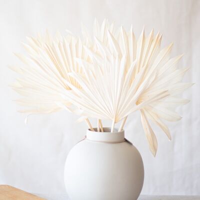 Dried flowers - White palm leaves