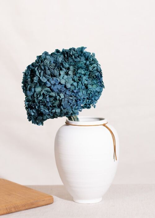 Fleurs séchées - Tête Hortensia stabilisé bleu