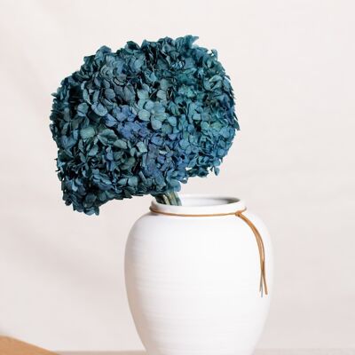 Trockenblumen - Konservierter blauer Hortensienkopf