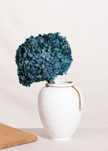 Fleurs séchées - Tête Hortensia stabilisé bleu 1