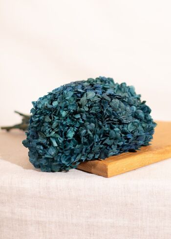 Fleurs séchées - Tête Hortensia stabilisé bleu 2