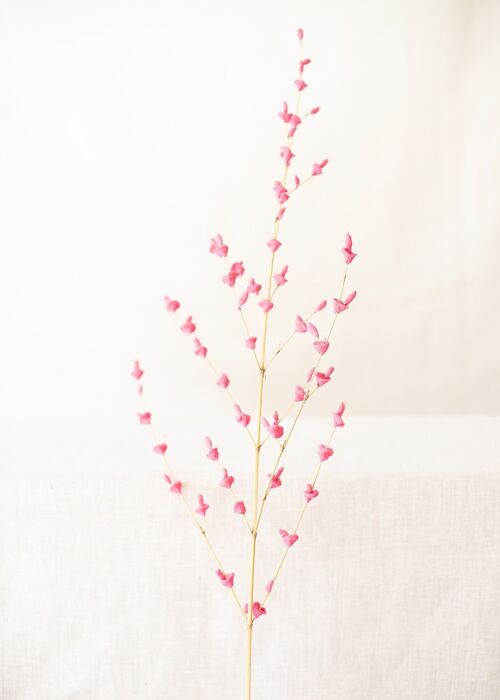 Fleurs artificielles - Tige Fleur de Farine cerise X1