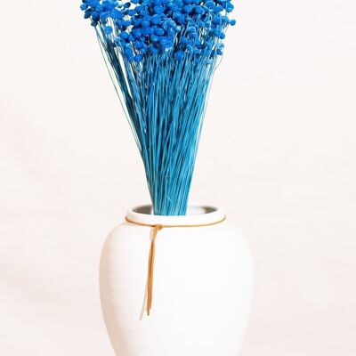 Dried flowers -Amarelino blue