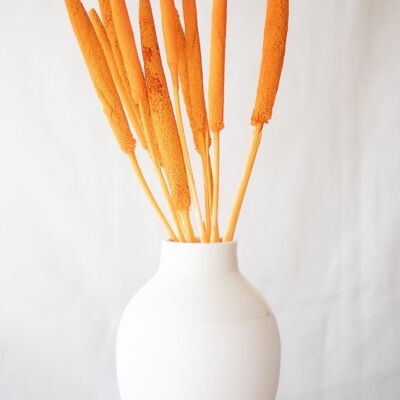 Getrocknete Blumen - Babala Orange