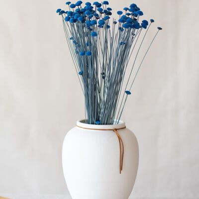 Dried flowers - Blue botao
