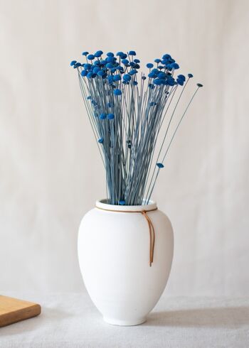 Fleurs séchées - Botao bleu 1