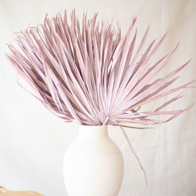 Getrocknete Blumen – Puderrosa Palmblätter