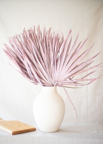 Fleurs séchées - Feuilles de palmier poudré rose 1