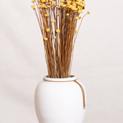 Dried flowers -Yellow botao