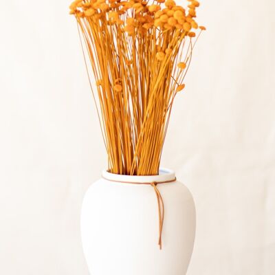 Dried flowers - Botao orange