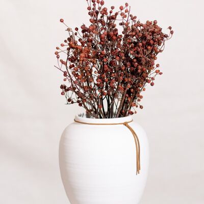 Dried Flowers -Rose Hip Branch