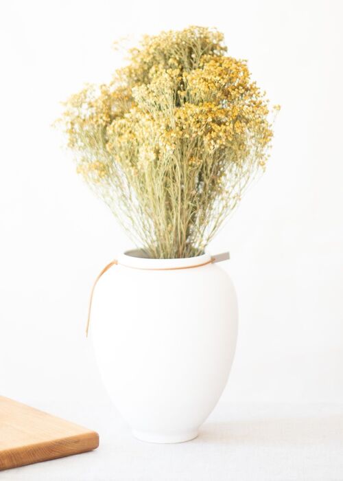 Fleurs séchées - Broom naturel séché
