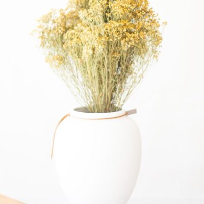 Dried flowers -Dried natural broom