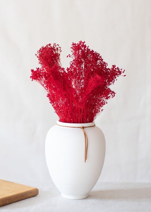 Fleurs séchées - Broom rouge