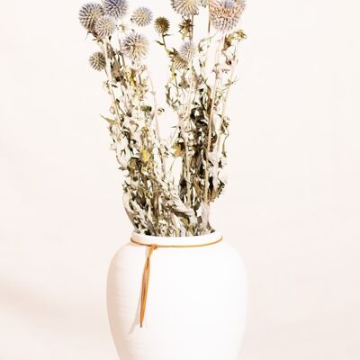 Fleurs séchées - Chardon Echinops