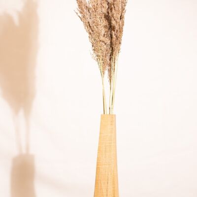 Dried flowers -Cortederia