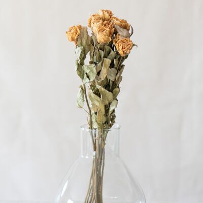 Dried flowers - Salmon roses