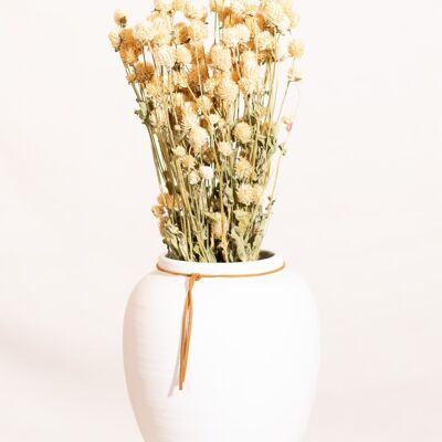 Getrocknete Blumen - Weiße Gomphrena