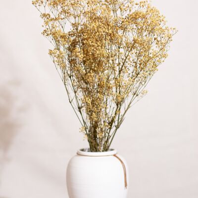 Fleurs séchées - Gypsophile jaune