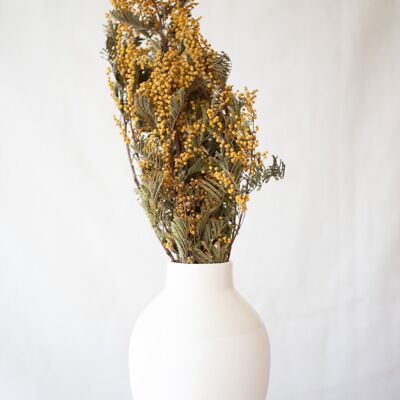 Dried flowers -Mimosa