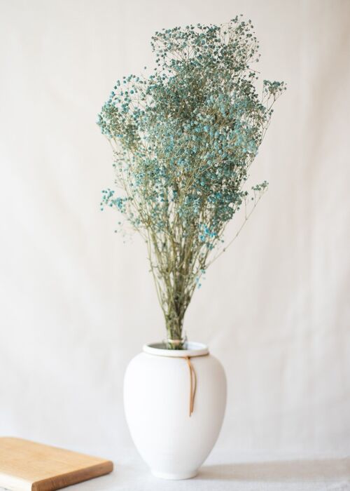 Fleurs séchées - Gypsophile bleu