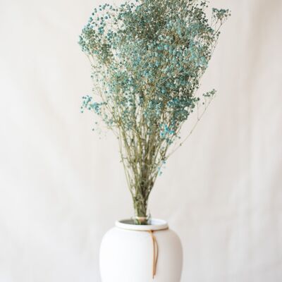 Dried flowers - Blue gypsophila