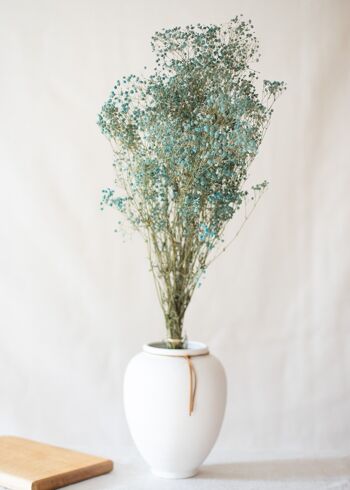 Fleurs séchées - Gypsophile bleu 1