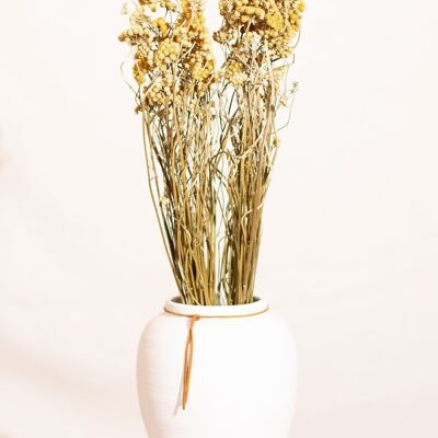 Dried flowers - Yellow Lona