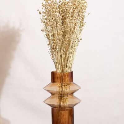 Dried flowers -Golden flax