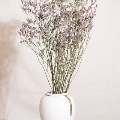 Fleurs séchées - Limonium violet