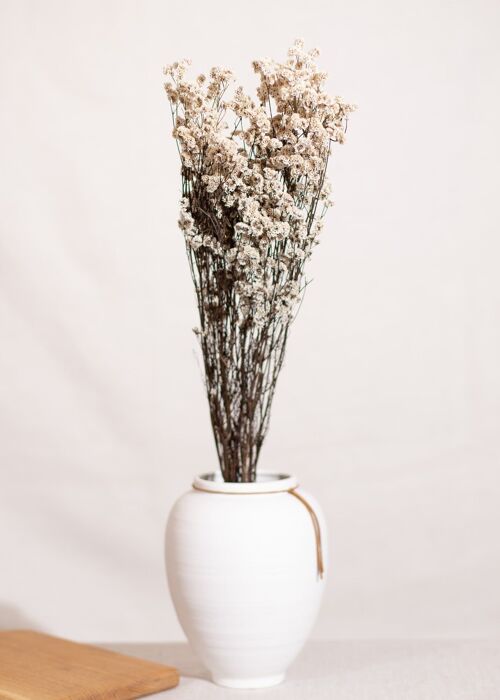 Fleurs séchées - Limonium blanc